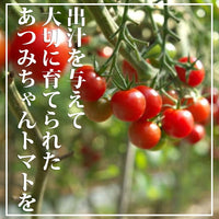 ご登録者さま専用【トマトの最強肉汁餃子】トマト21個